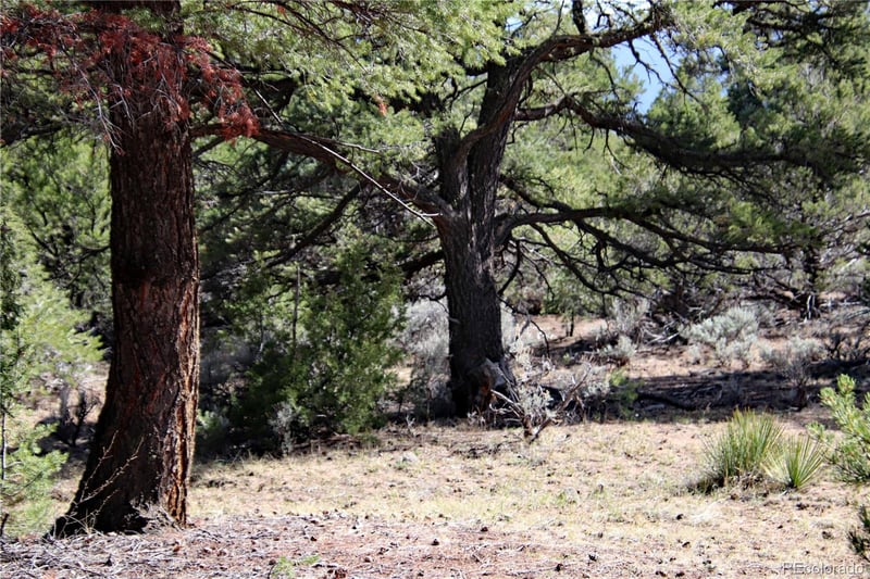 Horseshoe Trl Lot 71, 72, 73, San Luis, CO 81152