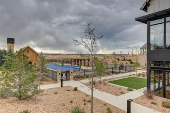 4 Leafy Aster Ln, Castle Rock, CO 80104