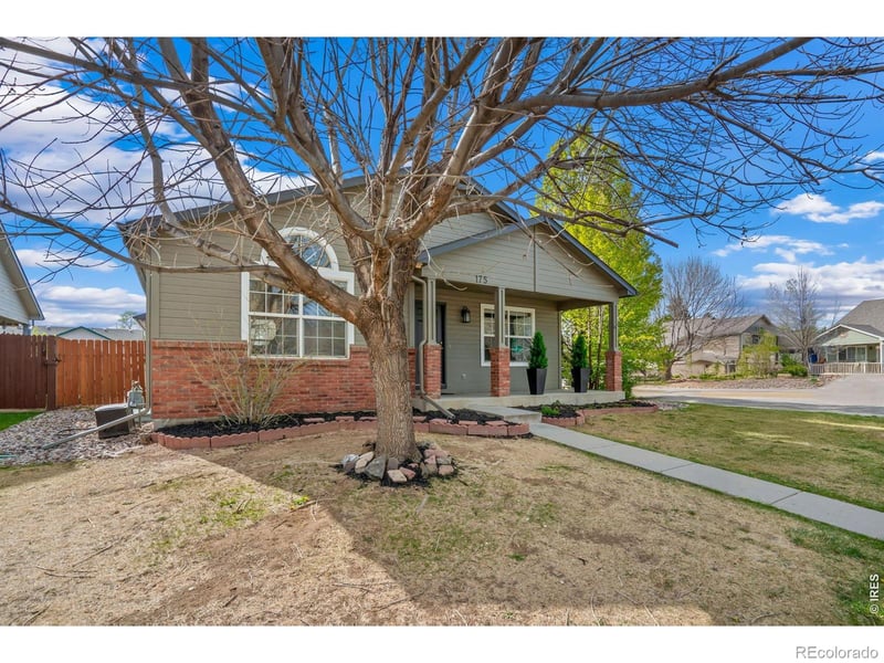 175 Lark Bunting Ave, Loveland, CO 80537