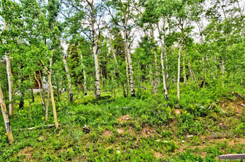 605 Lamb Mountain Rd, Fairplay, CO 80440