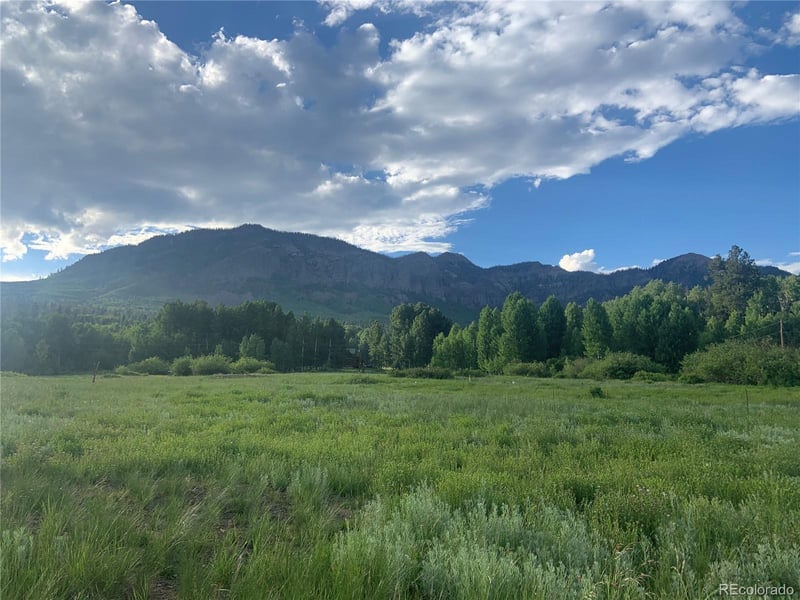 205 Lost Valley Dr, Creede, CO 81130