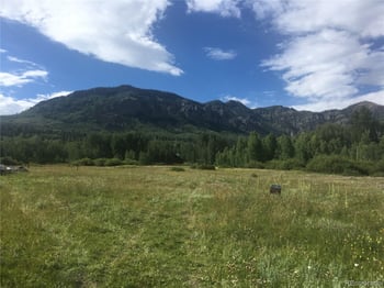 205 Lost Valley Dr, Creede, CO 81130