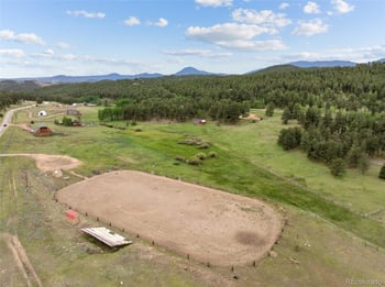 119 Quakie Way, Bailey, CO 80421