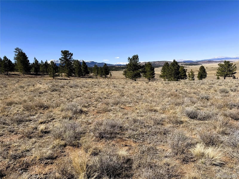 0000 Campfire Rd Lot Tract A, Hartsel, CO 80449