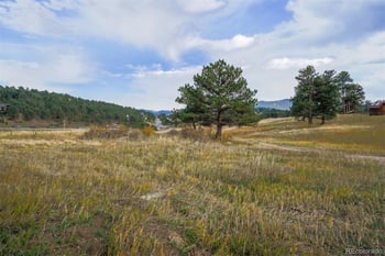 30591 Sun Creek Dr #13E, Evergreen, CO 80439