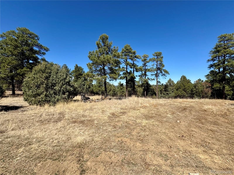 34999 Timber Park Dr, Trinidad, CO 81082