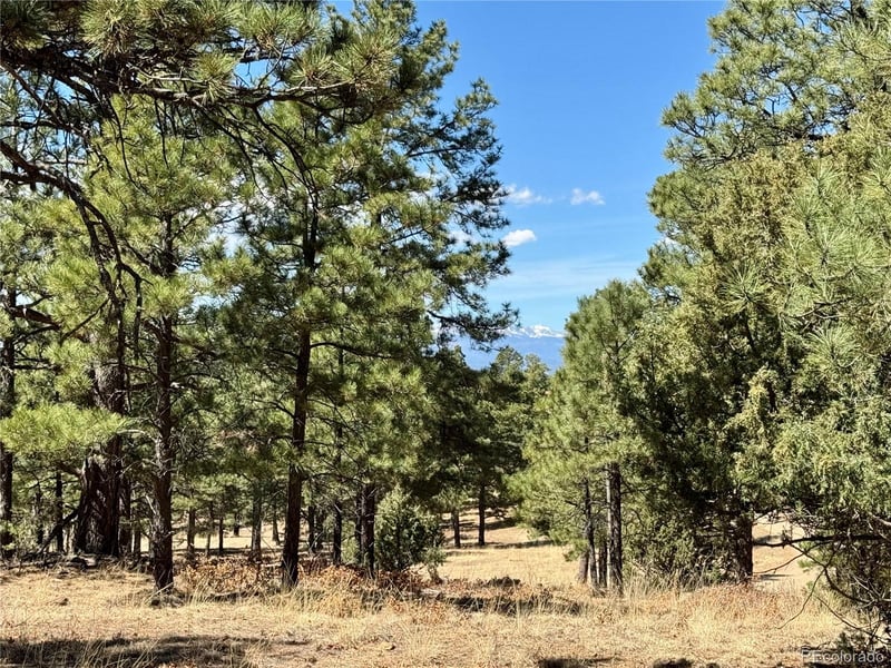34999 Timber Park Dr, Trinidad, CO 81082