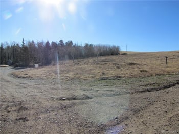 8165 Ranch Rd, Hartsel, CO 80449