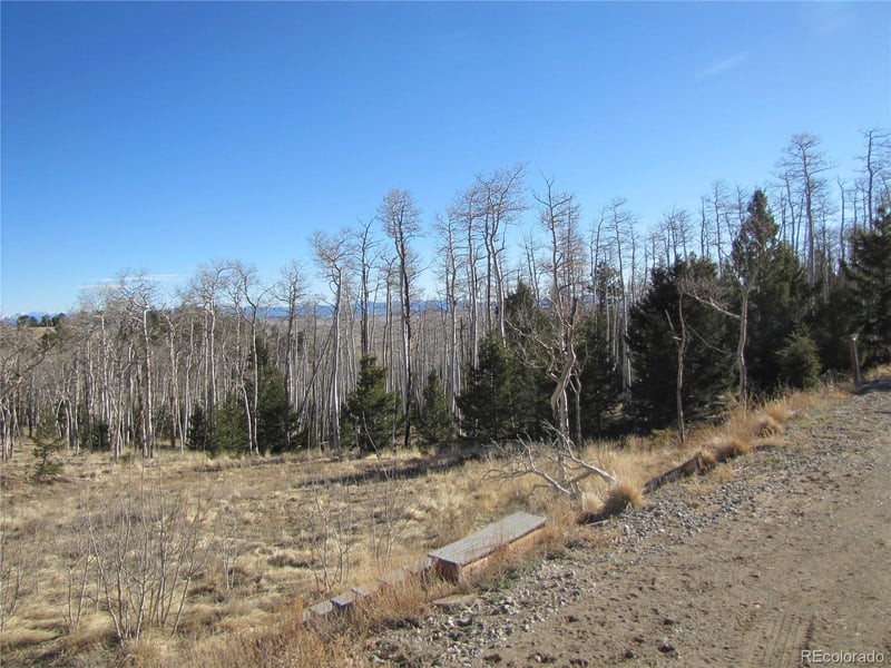 8165 Ranch Rd, Hartsel, CO 80449