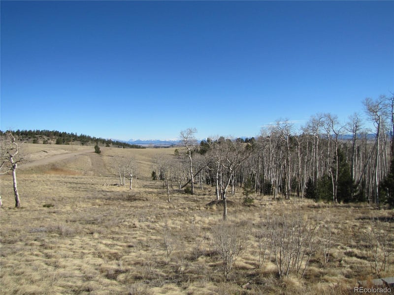 8165 Ranch Rd, Hartsel, CO 80449