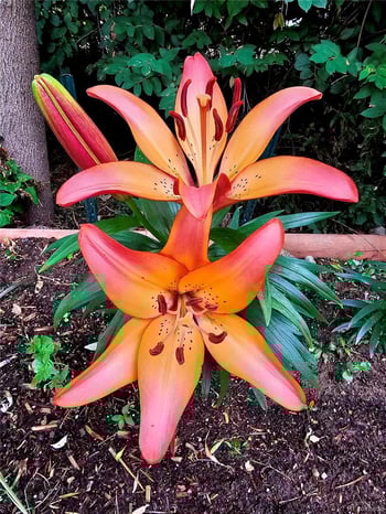 7377 Highland Dr, Lakewood, CO 80214