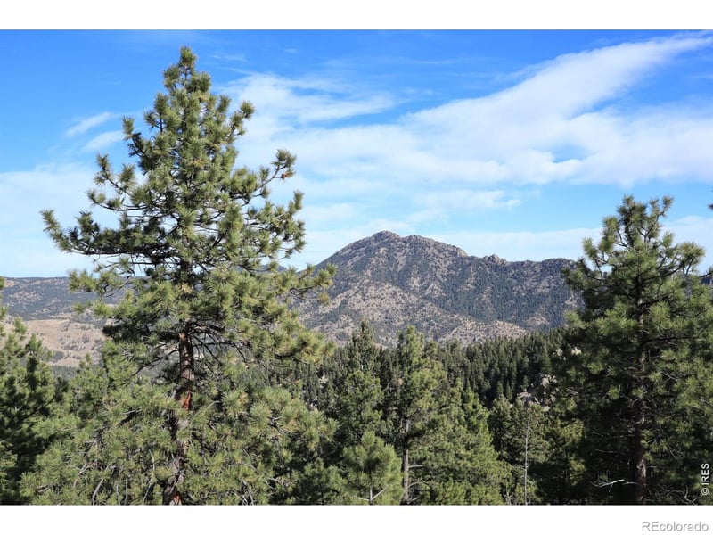 1312 Chute Rd, Golden, CO 80403