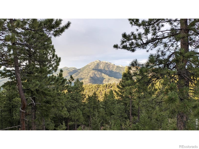 1312 Chute Rd, Golden, CO 80403