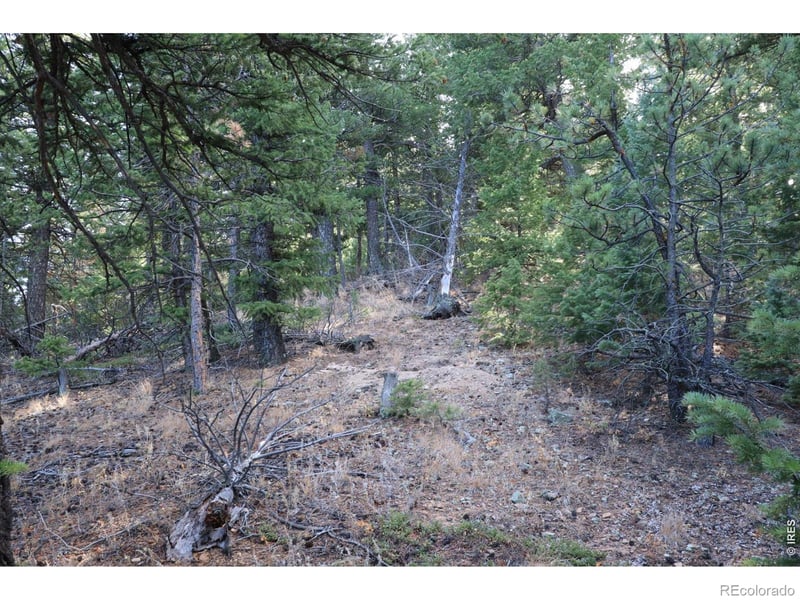 1312 Chute Rd, Golden, CO 80403