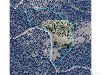 1312 Chute Rd, Golden, CO 80403