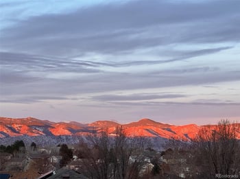 9952 Silver Maple Rd, Highlands Ranch, CO 80129