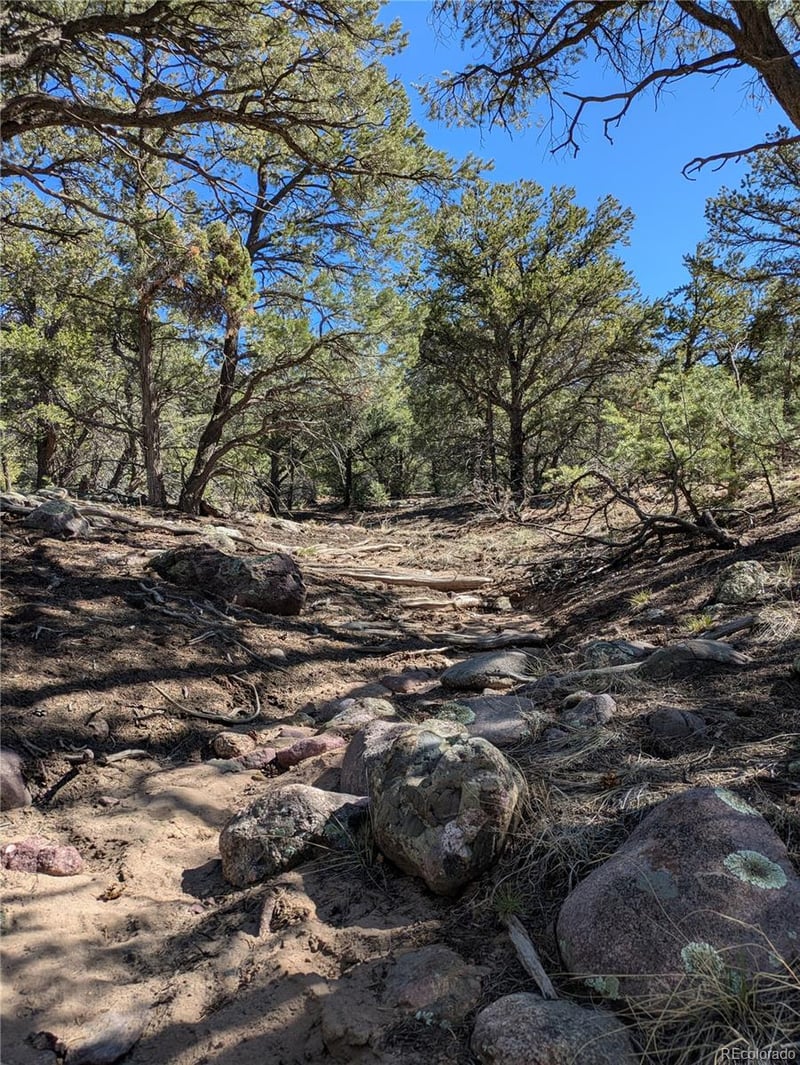 606 Peaceful Overlook, Crestone, CO 81131