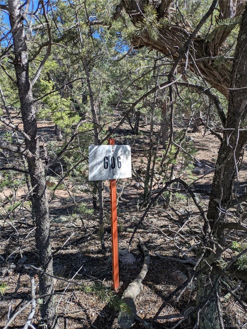 606 Peaceful Overlook, Crestone, CO 81131