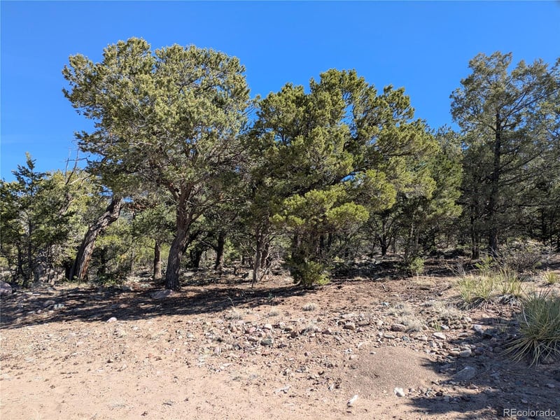 606 Peaceful Overlook, Crestone, CO 81131