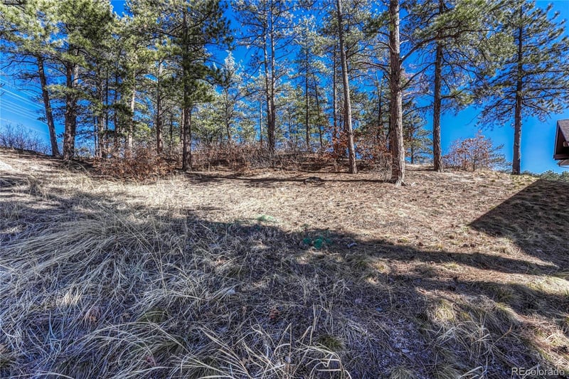 2111 Ramblewood Ct, Castle Rock, CO 80104