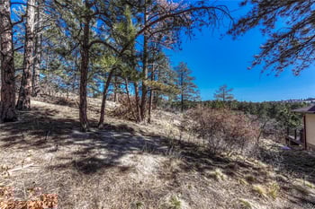 2111 Ramblewood Ct, Castle Rock, CO 80104