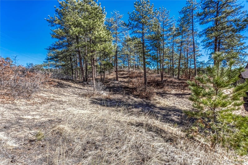 2111 Ramblewood Ct, Castle Rock, CO 80104