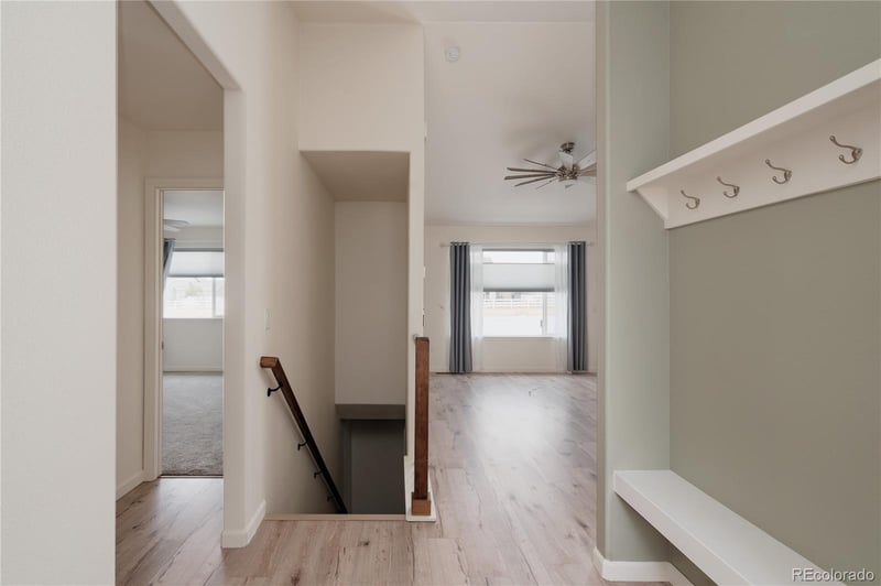 960 Ashbrook Dr, Windsor, CO 80550