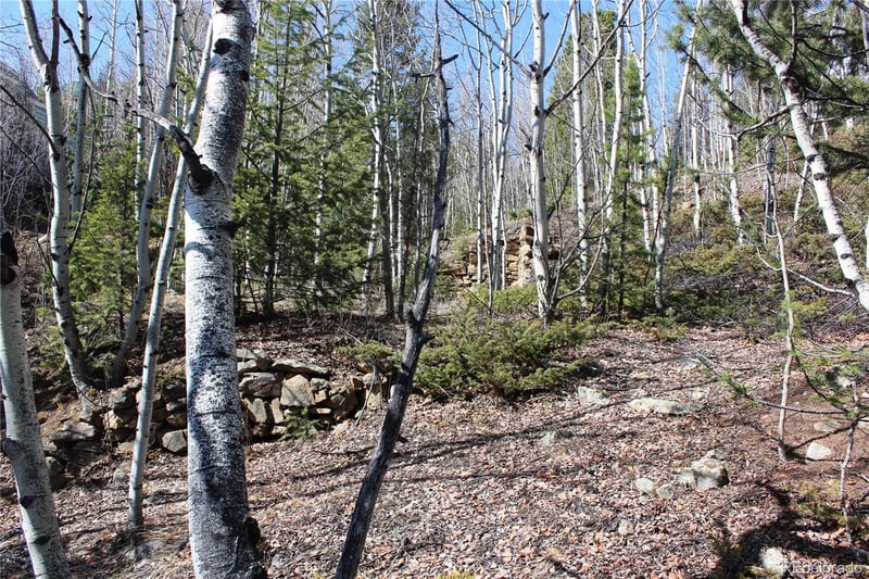 00 Spruce St, Central City, CO 80427