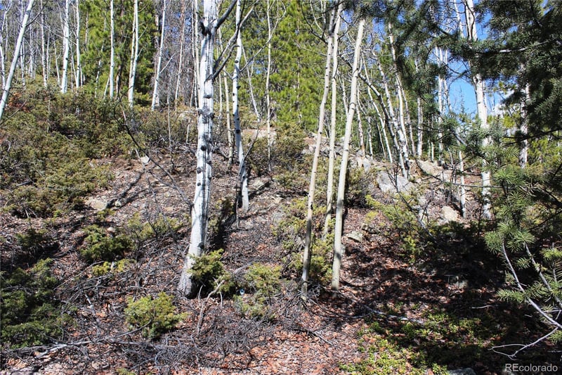 00 Spruce St, Central City, CO 80427