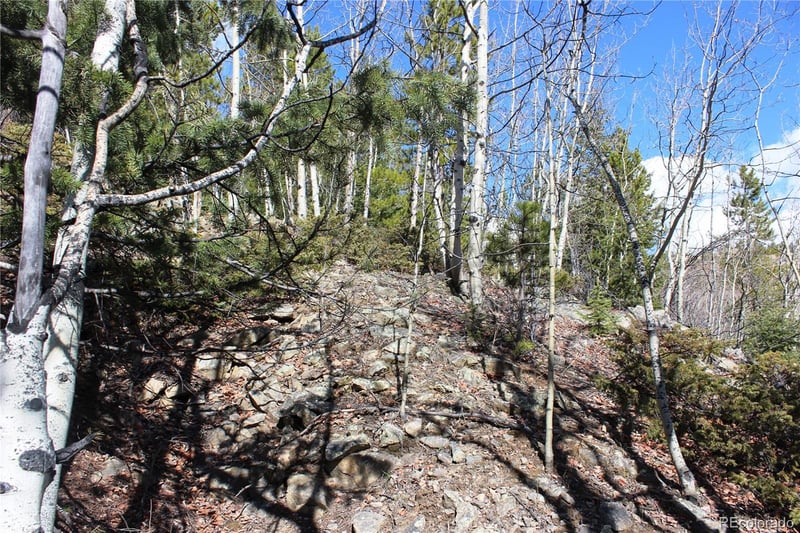 00 Spruce St, Central City, CO 80427