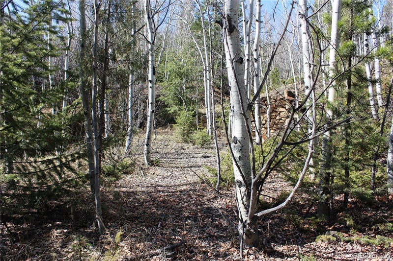 00 Spruce St, Central City, CO 80427