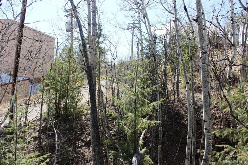 00 Spruce St, Central City, CO 80427