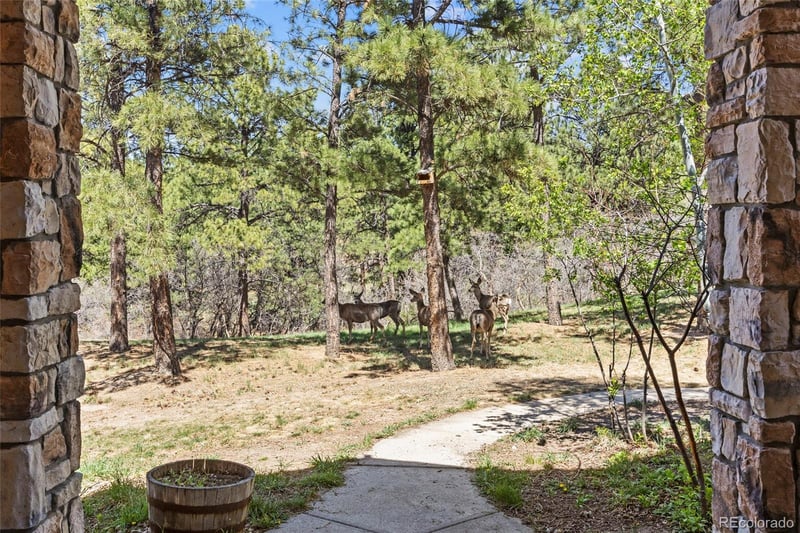 9676 Perry Park Rd, Larkspur, CO 80118