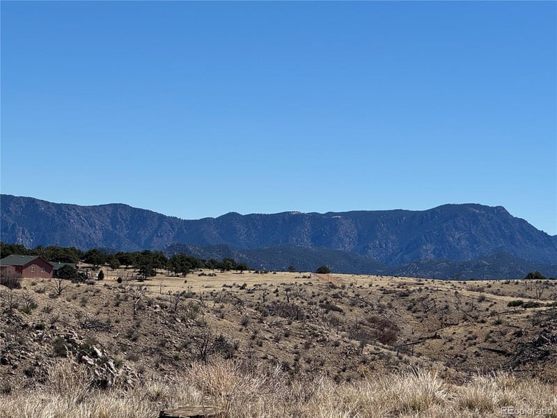 184 Carpenter Trl, Cotopaxi, CO 81223