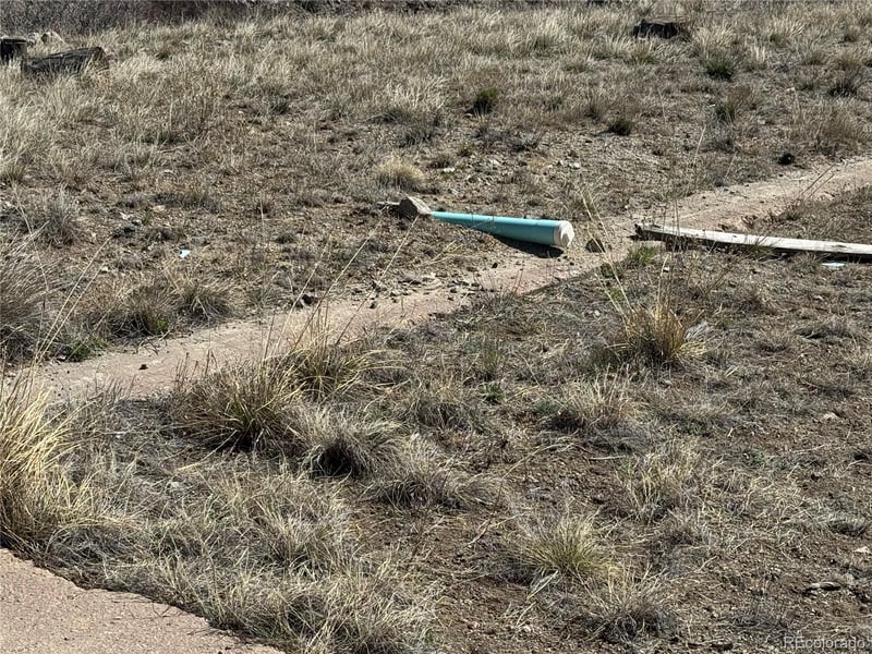 184 Carpenter Trl, Cotopaxi, CO 81223