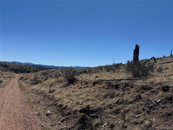 184 Carpenter Trl, Cotopaxi, CO 81223