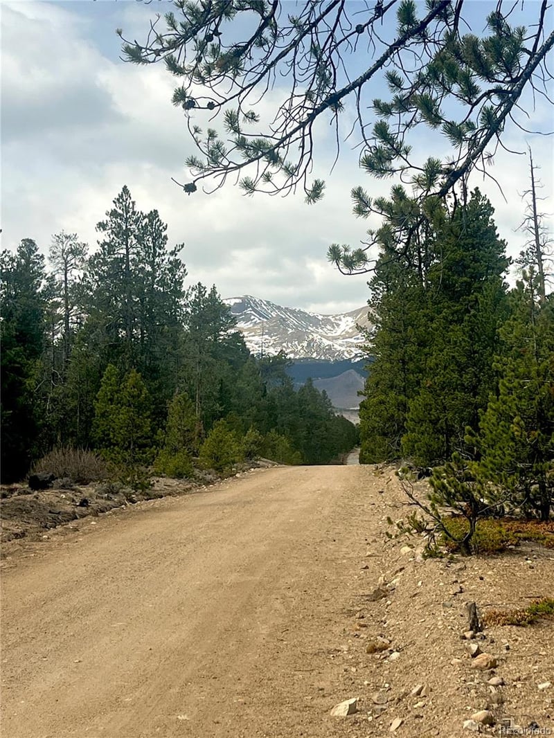 105 Fir Dr, Leadville, CO 80461