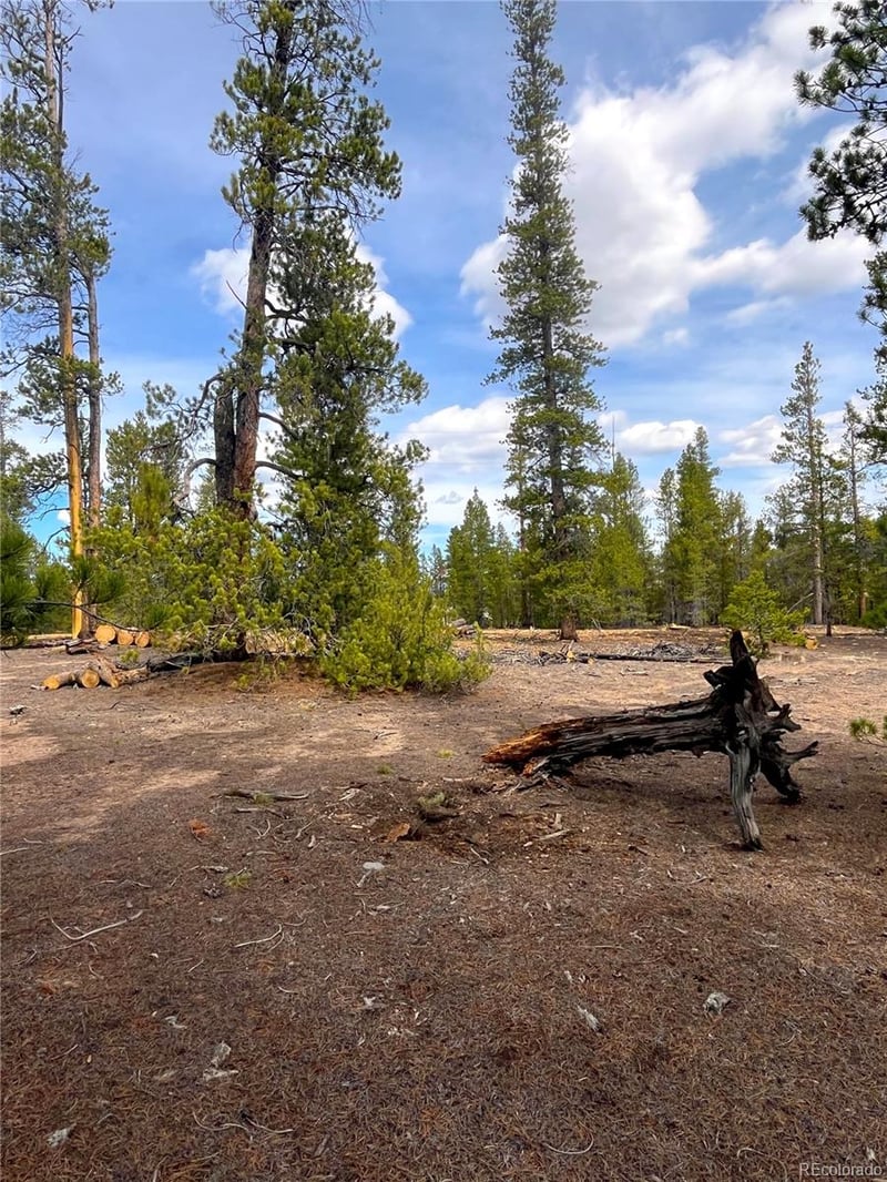 105 Fir Dr, Leadville, CO 80461