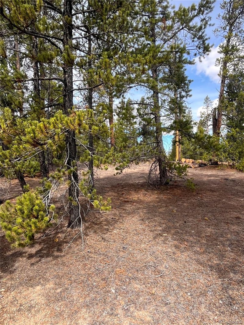 105 Fir Dr, Leadville, CO 80461