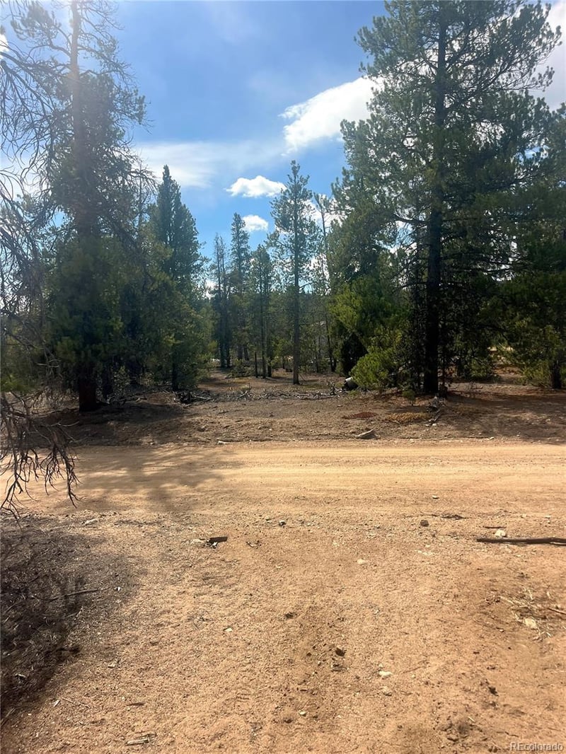 105 Fir Dr, Leadville, CO 80461