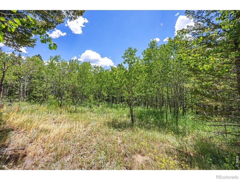 1568 County Road 103, Nederland, CO 80466