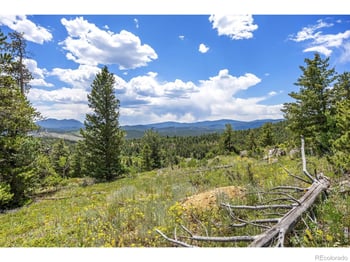 1568 County Road 103, Nederland, CO 80466
