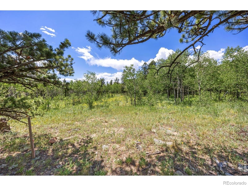 1568 County Road 103, Nederland, CO 80466