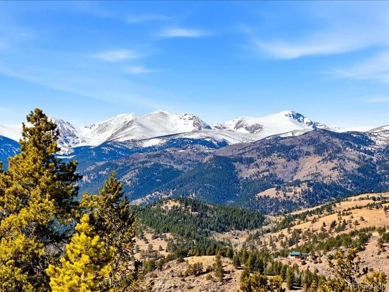1513 Chinook Rd, Idaho Springs, CO 80452