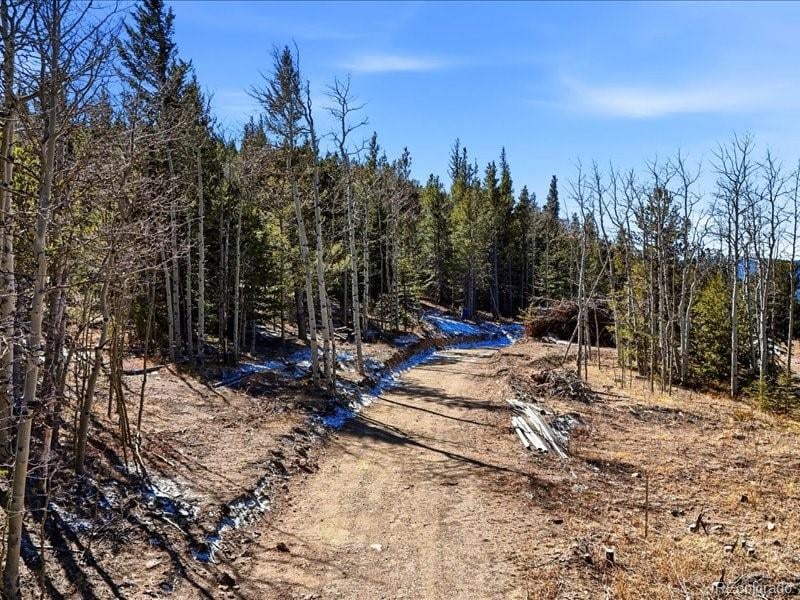 1513 Chinook Rd, Idaho Springs, CO 80452