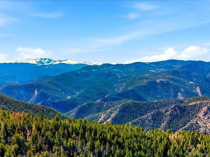 1513 Chinook Rd, Idaho Springs, CO 80452