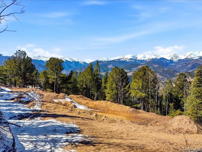 1513 Chinook Rd, Idaho Springs, CO 80452