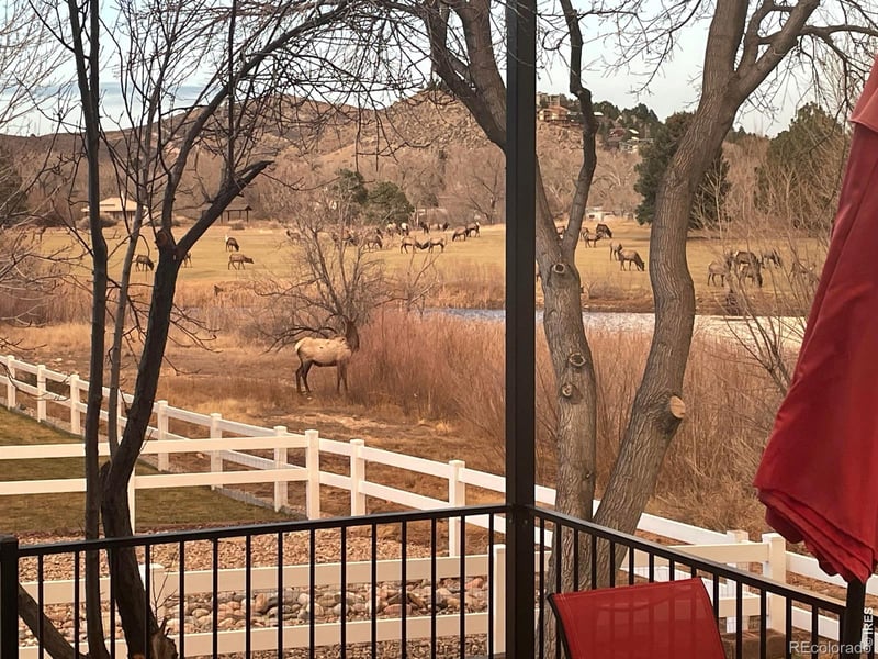 4339 Golf Vista Dr, Loveland, CO 80537