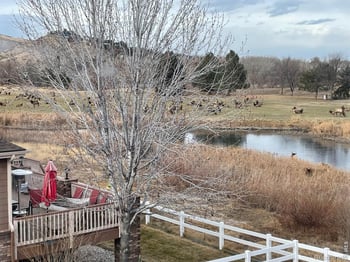 4339 Golf Vista Dr, Loveland, CO 80537