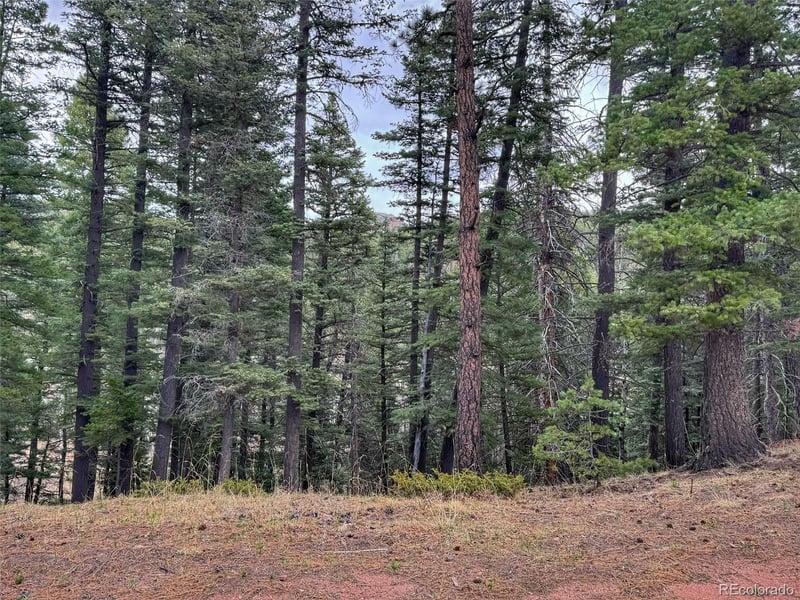 132 Aspen Acres, Rye, CO 81252